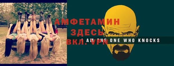 крисы Бородино
