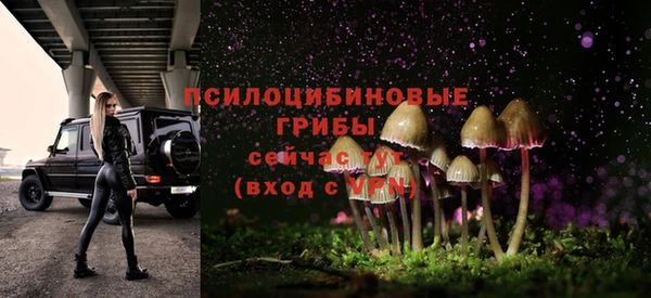 гидропоника Верхний Тагил