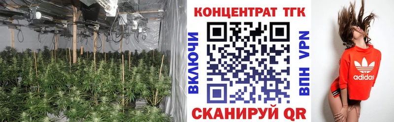 Купить  Кузнецк  ТГК вейп с тгк 