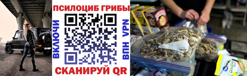 Галлюциногенные грибы Psilocybe Кузнецк