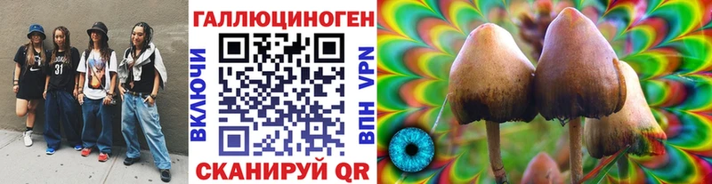 Псилоцибиновые грибы Magic Shrooms  Купить  Кузнецк 